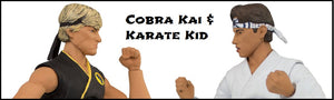 Cobra Kai / Karate Kid