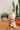 Two decorative planters, one shaped like a face with a flower headband and the other like a llama, on a wooden surface.