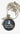 Necklace with pendant featuring TARDIS and text 'I'm the next companion' on a plain background