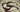 Texas-Star-Polycarbonate-Sunglasses-Planet-Retro-NZ