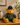 A plush teddy bear wearing an olive green flight suit and a navy blue cap with 'AIR FORCE' embroidered on it, sitting on a wooden surface in a styled indoor setting with a vase and potted plant.
