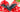bat_bow_hair_clip_planet_retro_nz