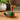 Casals Peru mini clay duck figurine styled in a warm interior