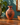 David Griffith Nelson studio pottery vase lifestyle image