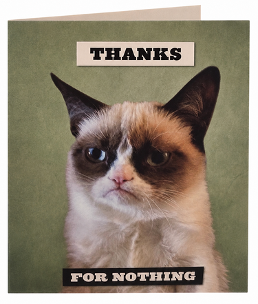 Pack of six humorous grumpy cat "Thanks For Nothing" blank note cards with envelopes featuring a grumpy cat illustration on a muted green background.