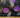 Purple Moon - Owls Ravens Bats cotton fabric detail 2 at Planet Retro NZ