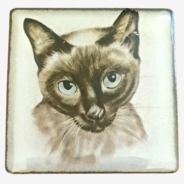 Square tile with a Siamese cat illustration on a white background