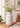 Vintage Scheurich West German pottery vase from the 1970s with classic mid-century glaze, photographed with greenery on a wooden surface in a home setting