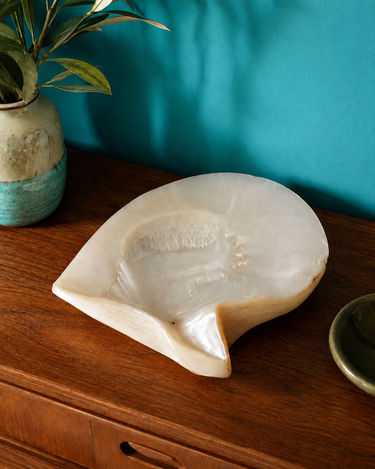 Vintage Mother of Pearl Pearl Oyster Shell (1940s)
