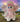 BK Beanie Kids Bear - Twinkle Toes the Mammoth Bear (2008) New Vintage Toys Planet Retro NZ