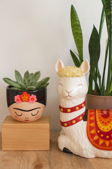 Two decorative planters, one shaped like a face with a flower headband and the other like a llama, on a wooden surface.