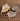 Global Decor - Seashell Trio Cowry Lambis New Vintage Homeware Planet Retro NZ