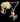 Gold Tone Tiny Unicorn Necklace New Vintage Jewellery Planet Retro NZ