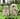 New Zealand Tiki Salt & Pepper Set Planet Retro NZ
