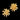 Gold floral earring on a black background Planet Retro NZ
