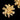 Gold floral earring on a black background Planet Retro NZ
