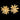 Gold floral earring on a black background Planet Retro NZ