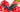 bat_bow_hair_clip_planet_retro_nz