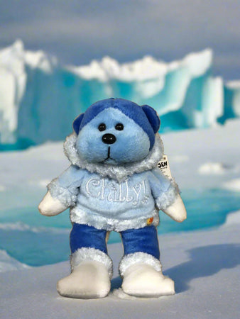 BK Beanie Kids Bear - Chilly Bear (2002) plush toy doll teddy bear vintage planet retro nz 2