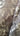 Bridgerton Chic Indian Coat, view 7