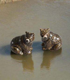 Brown Bears Salt & Pepper Set