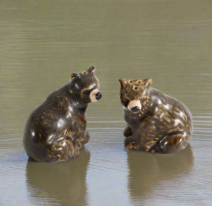 Brown Bears Salt & Pepper Set