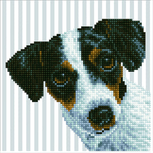 Diamond Dotz - Jack Russell Terrier Dog