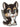 Killer Puppy Dog Enamel Pin / Brooch
