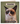 Pack of six humorous grumpy cat "Thanks For Nothing" blank note cards with envelopes featuring a grumpy cat illustration on a muted green background.