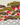 Crease-smoothed Japanese garden cotton poplin showing olive pine forms, small red blossoms and gold wave patterns