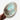 A large iridescent abalone shell held by a hand against a plain white background, showing shimmering green, blue, and cream tones.