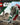 LEGO Star Wars Boba Fett's Starship Microfighter set packaging with desert scene background.  Planet Retro NZ.