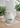 Mid-century German porcelain mini vase and matching dish set by Fürstenberg, 1950s, white glaze with green floral detail