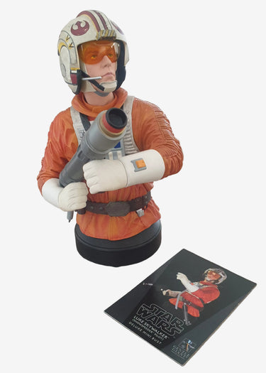 Star Wars Luke Snowspeeder Pilot Bust – Gentle Giant