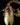 Gold insect-shaped pendant on a chain against a dark background