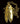 Gold insect-shaped pendant on a chain against a dark background