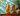 Two carved wooden African-style bust sculptures of a couple facing each other, displayed on a wooden cabinet against a teal wall with leaf shadows and decorative vases.