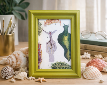 Vintage NZ marine life colour art print in lime green frame featuring illustrated sea creatures on white background