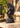 Vintage Tanzanian carved ebony male bust displayed on a pale stone surface in a mid-century interior with greenery and warm natural light.