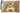 Ginger Cat Zipper Purse  accessories nz planet retro